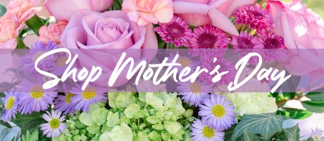 Mother's Day Flowers Delivery - Send Mother's Day Flowers
