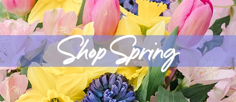 Spring Bouquets Delivery - Send Spring Bouquets